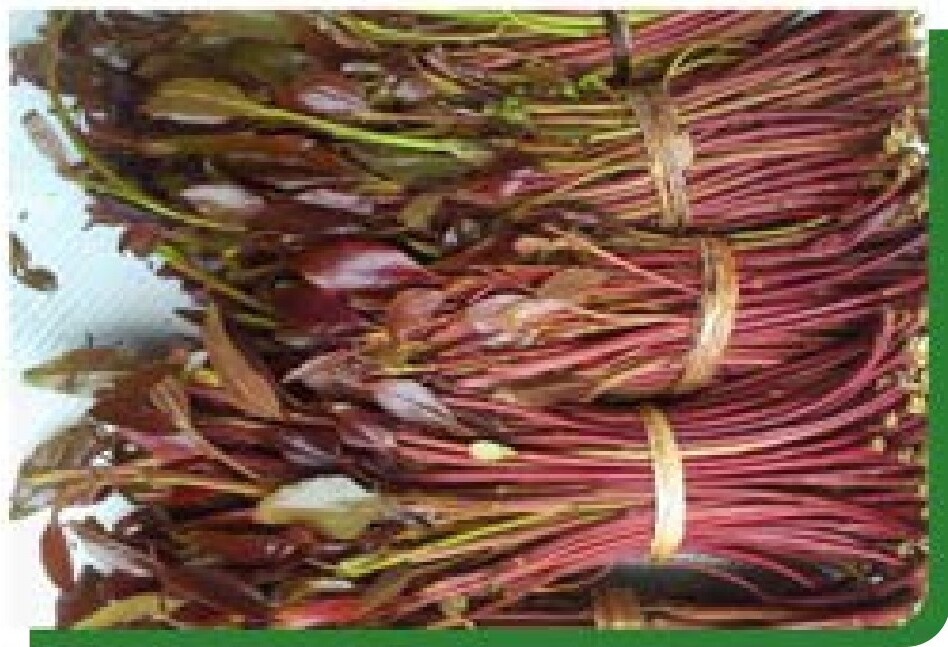 Premium Miraa