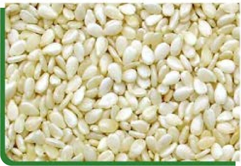Sesame Seeds