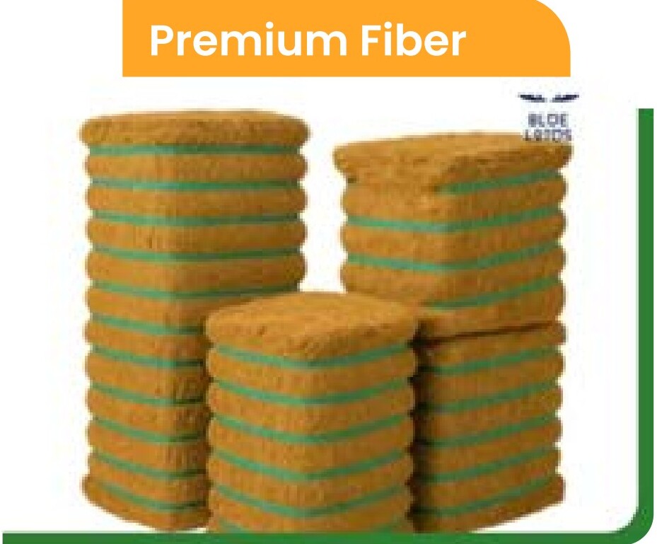 Premium Fiber