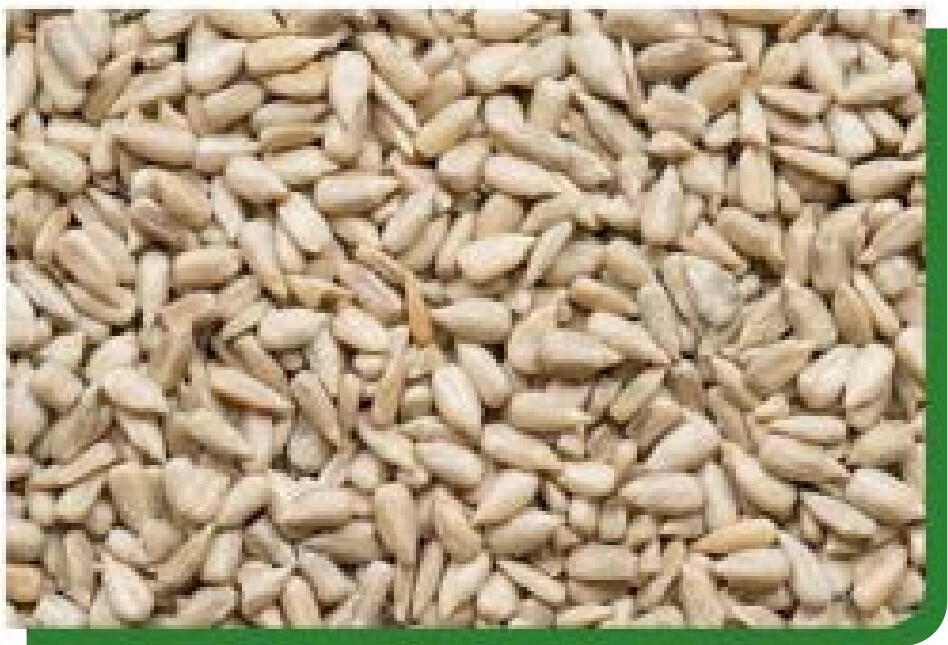 Confectionery Seeds