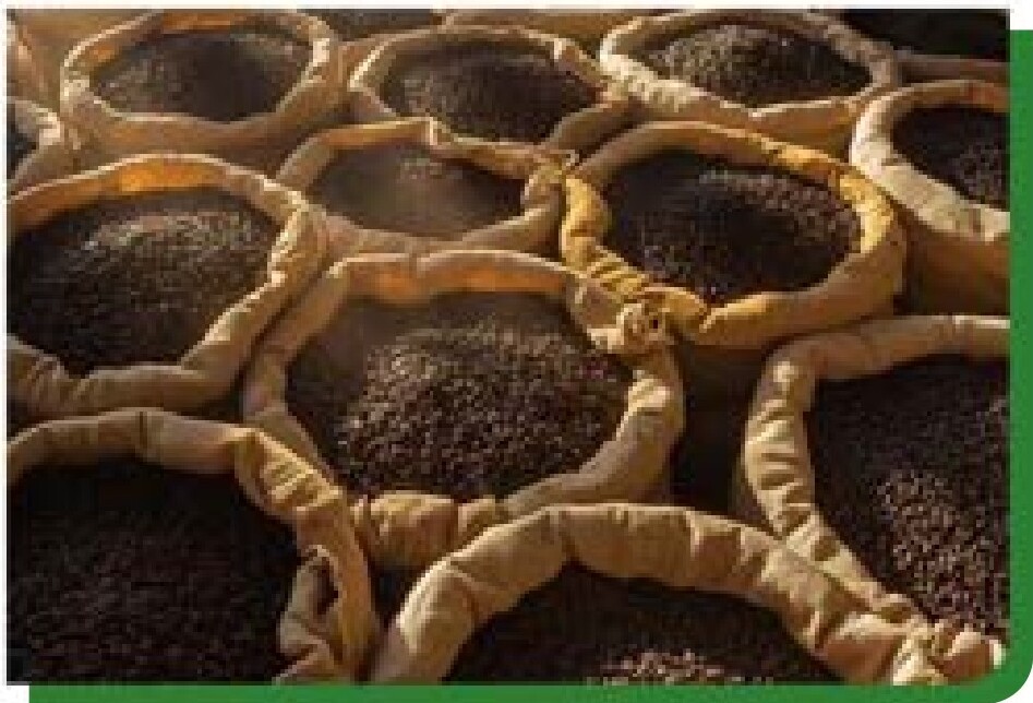 Bulk CTC Tea